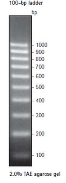 SIGMA-ALDRICH MARCADOR PERFECT DNA 100 pb, NOVAGEN, FORMATO LISTO PARA CARGAR - 100 RX