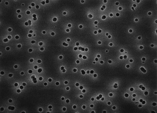 FILTROS DE MEMBRANA MILLIPORE TIPO ISOPORE EN POLICARBONATO, 0.22 MICRAS DE TAMA¥O DE PORO, 47 MM DE DIAMETRO. CAJA/100