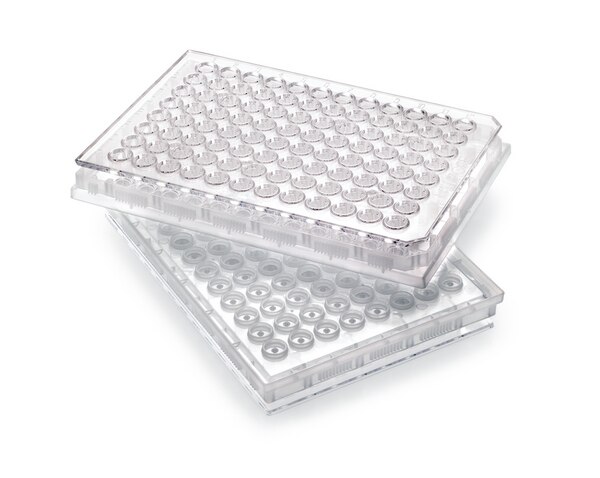 PLACAS MultiScreen-BV; MILLIPORE DE 1,2 µm, TRANSPARENTE NO ESTERIL DE 96 POCILLOS PACK/ 50