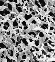 [DVPP09050] FILTROS DE MEMBRANA MILLIPORE EN PVDF DURAPORE, 0.65 MICRAS DE TAMAÑO DE PORO, 90 mm DE DIAMETRO. CAJA/50