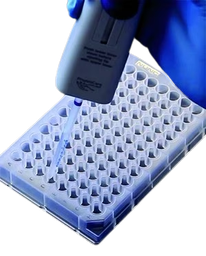 [73044-SIAL] GDS SAMPLE WELLS PAC/200