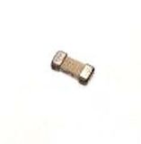 [WAS290423] MICROFUSIBLE DE 2 AMPERIOS PARA FUENTE DE PODER DE LAMPARA DEL DETECTOR 2487