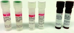 [QR0100] SIGMA-ALDRICH KIT CUANTITATIVO PARA RT-qPCR ONE STEP SYBR® GREEN RT-qPCR