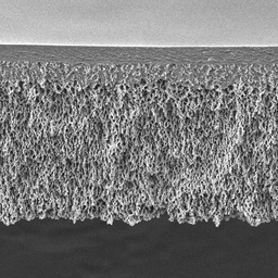 [PLHK06210] DISCOS DE ULTRAFILTRACION 100KDA NMW.PAC/10