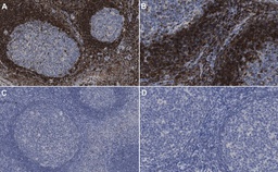 [05-729] Anti-Bcl2 Antibody, clone 100. 100ug.