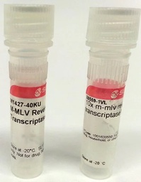 [M1302-40KU] SIGMA-ALDRICH TRANSCRIPTASA INVERSA M-MLV