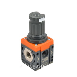 [02-1118] REGULADOR PARA GENERADOR PEAK DE 0-12 BAR 1/4"F BSPP