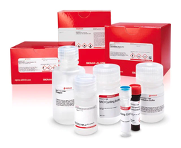 [MAK085] Kit de ensayo de peroxidación lipídica (MDA) (colorimétrico/fluorométrico) ab118970