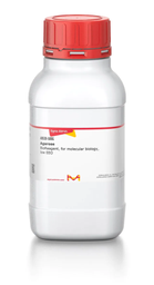 [A9539-500G] AGAROSE, BIOREAGENT, FOR MOLECULAR, 500G