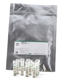 [VT000263-10EA] PSEUDOMONAS AERUGINOSA WDCM 00026 VITROIDS SIGMA ALDRICH. 80-130 CFU, MATERIAL DE REFERENCIA CERTIFICADA PARA MICROBIOLOGÍA
