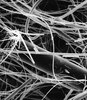[AP2004700] PREFILTROS MILLIPORE, TIPO AP 20 EN FIBRAS DE VIDRIO, 47 mm DE DIAMETRO. CAJA/100